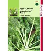 2 stuks - Snijbiet Groene Gewone