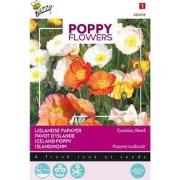 3 stuks - Poppies of the world papaver IJslandse