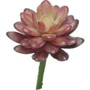 Kunst Sedum pick bordeaux - 16 cm