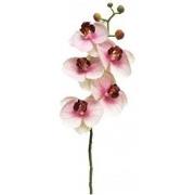 Kunst Phalaenopsis Orchidee Bora 58 cm - Roze