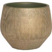 HS Potterie Hamar Groen Goud - cm