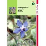 2 stuks - Komkommerkruid Borage
