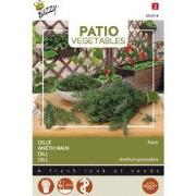 Patio Veggies, Dille nano