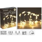 Silver Wire Star 40Led Warm Wh