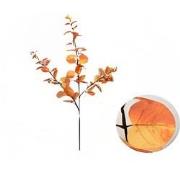 Money leaf tak oranje 104 cm