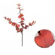 Money leaf tak bruin rood 104 cm