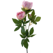 (Best) Paeony spray Chiba pink 65 cm kunstbloem