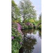 Tuinschilderij bloemenpracht 130x70