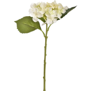 Knophortensiasteel l45 cm creme kunstbloem zijde nepbloem