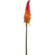 Kniphofia spray red/orange 85 cm kunstplant