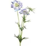 Kunstbloem Scabiosa 8x8x74 cm blauw