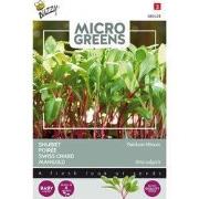 5 stuks - Microgreens Snijbiet gemengd