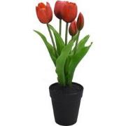 Tulp in Pot 30,5cm Rood