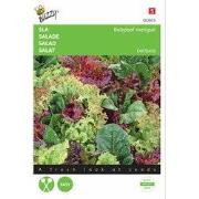 5 stuks - Baby Leaf Mixture