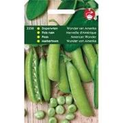 5 stuks - Doperwten Wonder Van Amerika
