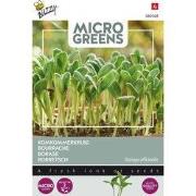 5 stuks - Microgreens Borage