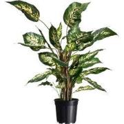 3 stuks - Container zwart 2,2l H15,4x dia. 17cm set a 4 stuks