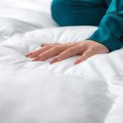 Lanotte® - Dekbed 15%/85% Dons-Veren - 240x220 cm