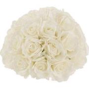 J-Line - Bloembol Half Rozen Plastiek Wit Small - 29.5x29.5x20.5cm