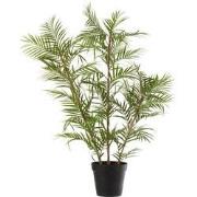 J-Line - Bergpalm In Pot Plastiek Groen/zwart Large - 60x31x114cm