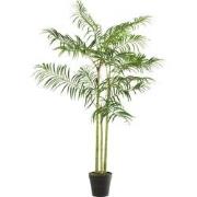 J-Line - Bamboepalm In Pot Plastiek Groen/zwart Small - 110x110x170cm