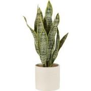 J-Line - Plant Sansevieria In Pot Pvc Groen Extra Large - 16x16x59cm