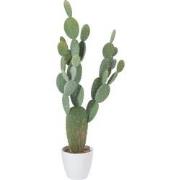J-Line - Cactus+pot Plastic Groen/melamine Wit Xl - 60x24.5x130cm