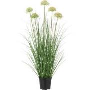 J-Line - Gras Met Bloem In Pot Pvc Groen - 33x33x72cm