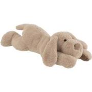 J-Line - Hond Liggend Textiel Beige - 50x20x13cm