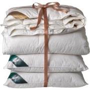 Ten Cate 90% Ganzendonzen 4 seizoenen dekbed 240x200 + 2 eendenveren h...