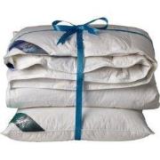 Ten Cate 60% Eendendonzen 4 seizoenen dekbed 140x220 + 1 eendenveren h...