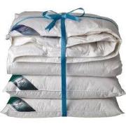 Ten Cate 60% Eendendonzen 4 seizoenen dekbed 200x220 + 2 eendenveren h...