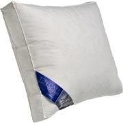 Ten Cate 60/40 Eendendonzen Boxkussen - 50x60 cm