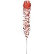 Clayre & Eef Decoratie Veer 7x42 cm Rood Kunststof