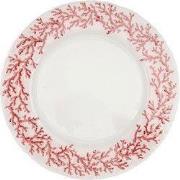  Oasis Plate