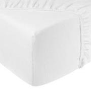 DoubleDry Hoeslaken Jersey 100% Katoen - Tweepersoons 180x200 cm - Zac...