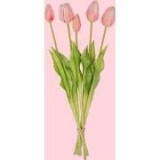 URBANJNGL - Tulpen boeket - 5 stuks - Verschillende kleuren - 'Real To...
