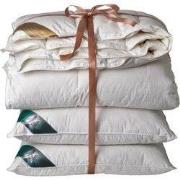 Ten Cate 90% Ganzendonzen 4 seizoenen dekbed 240x200 + 2 eendenveren h...