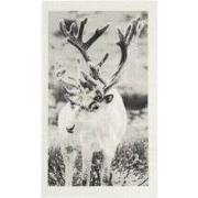 Mijn Stijl - Vaatdoek biodegradable rendier