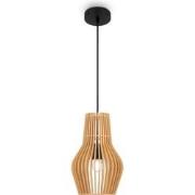 Maytoni - Hanglamp Roots - Zwart - Ø20