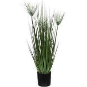 Mica Decorations papyrus in plastic pot maat in cm: 80 x 12,5