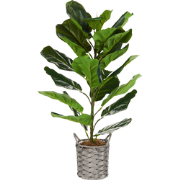FIDDLE LEAF TREE - Kunstplant - Groen - 72 cm - Synthetisch