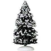 Evergreen tree medium