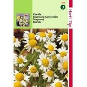 2 stuks - Kamille