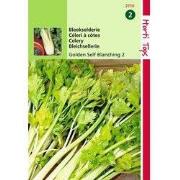 2 stuks - Bleekselderie Goudgele Zelfblekende 2