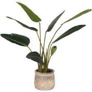 LABEL51 Strelitzia - Groen - Kunststof - 100 cm