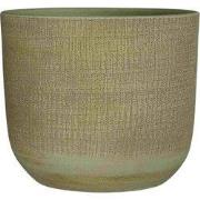 Mica Decorations Bloempot Florian - 28x28x26 cm - Terracotta - Groen