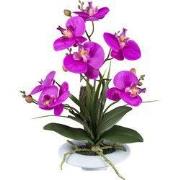 Kopu® Kunstbloem Orchidee 41 cm Paars met Bloemschaal - Phalaenopsis