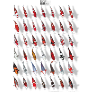 Koiposter nr.1 gelamineerd 68x90 cm Aquadistri