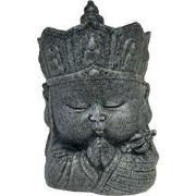 Eco deco monk face Superfish